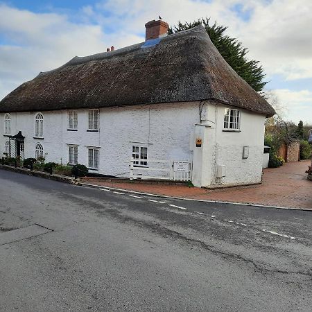The White Cottage Colyton Extérieur photo